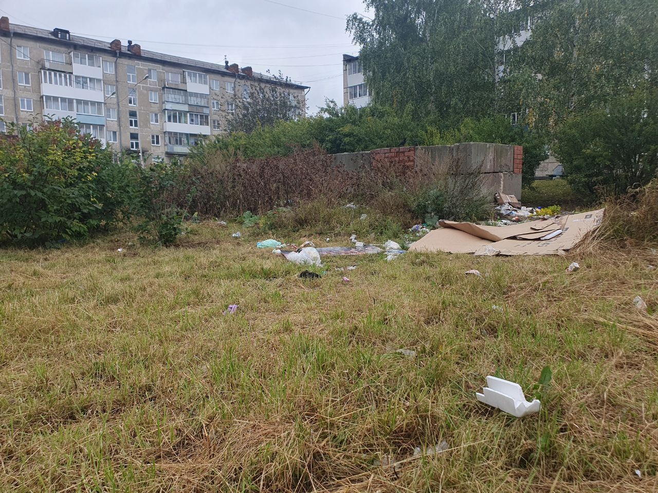 Жильцы дома по Пролетарской все лето терпят мусор вокруг контейнерной площадки