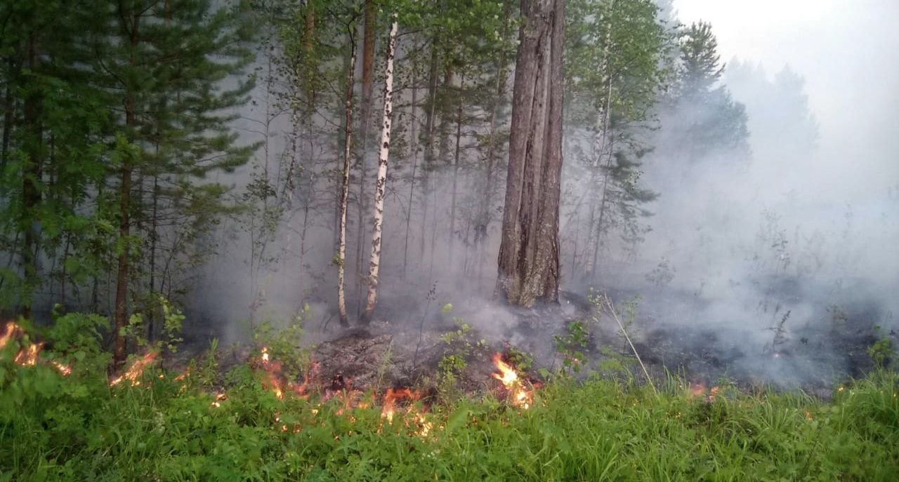 В Карпинске - девять лесных пожаров. Сгорели уже больше 100 гектаров леса