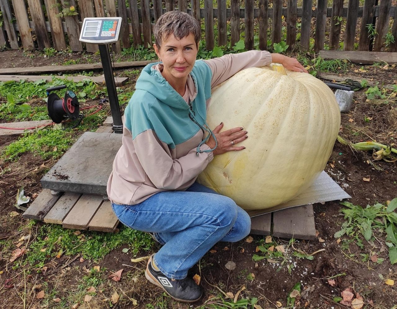 Жительница Карпинска поделилась результатами участия в конкурсе по выращиванию тыкв-гигантов