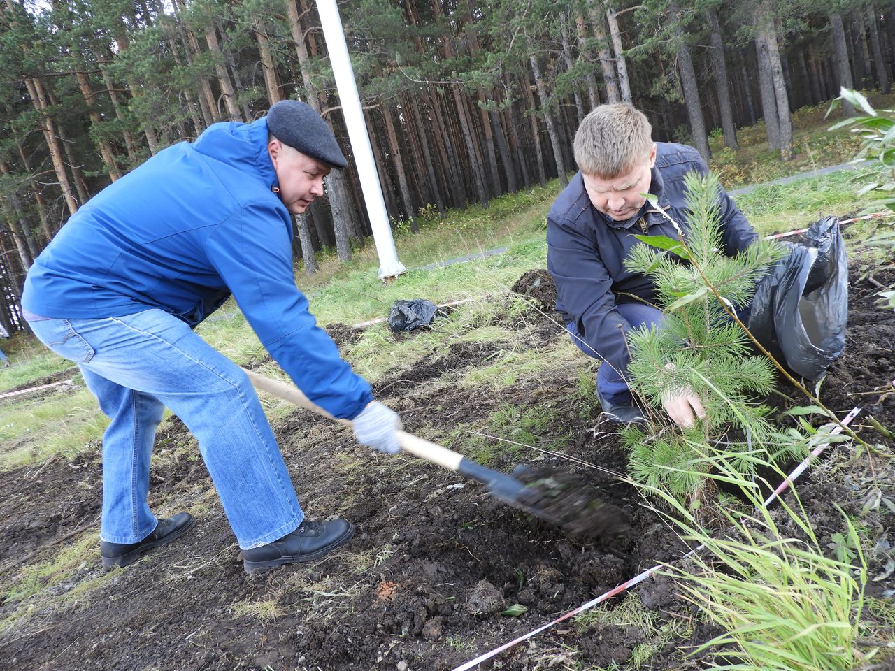 В Комсомольском парке посадили 150 деревьев