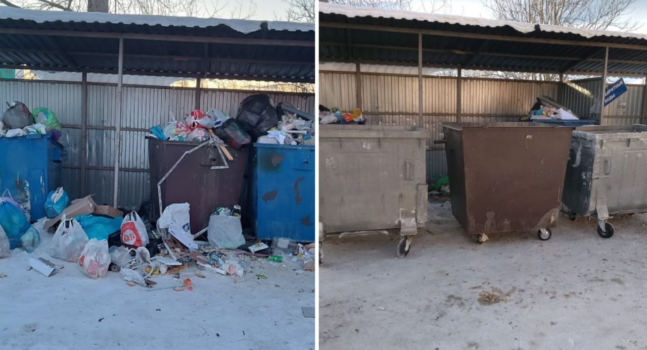 Жители переулка Декабристов возмущены мусором на контейнерной площадке. Рифей прокомментировал ситуацию
