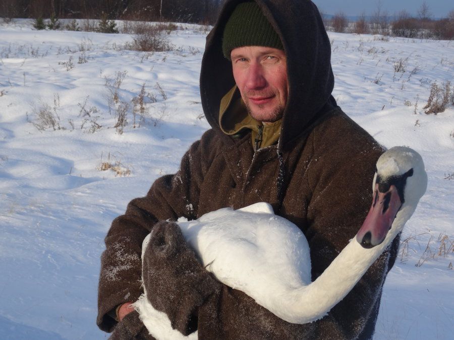 Птицу смогли поймать, когда она без сил остановилась на снегу. Фото: Александр Ярошук, "Вечерний Карпинск"