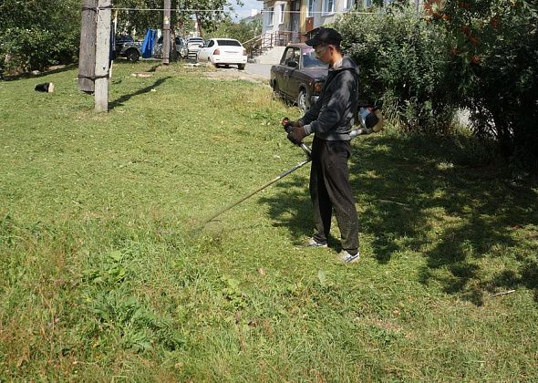 Заниматься скашиванием травы в Карпинске будет предприниматель из соседнего города