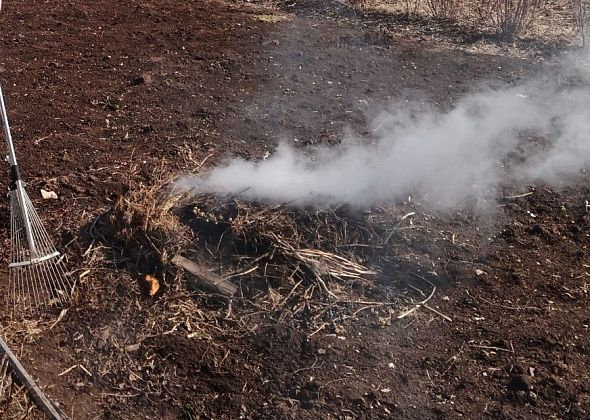 Мангалы можно убирать в сарай: сегодня в Карпинске введен особый противопожарный режим