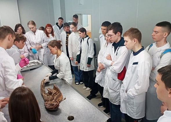 Школьники из Карпинска побывали на экскурсии в медуниверситете
