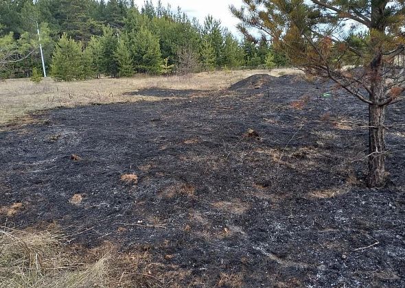 У Комсомольского парка горела трава. Сотрудники ОНД призывают горожан не баловаться с огнем