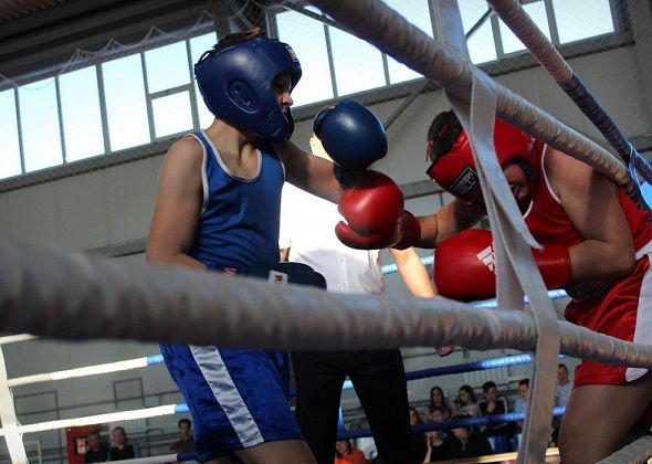 Карпинские спортсмены заняли призовые места на областных соревнованиях по боксу