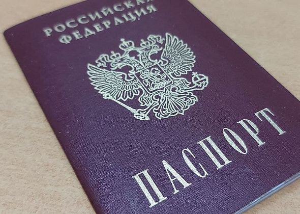 Депутат Госдумы Хинштейн предложил лишать гражданства России за "ненависть к стране"