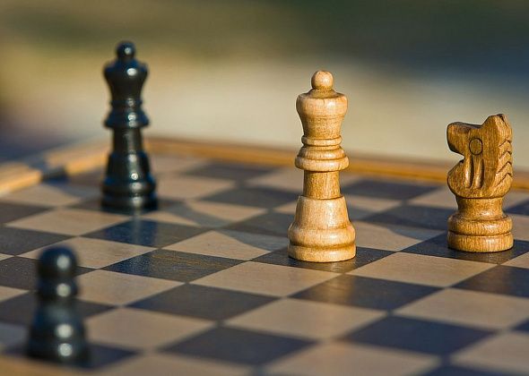 Карпинские депутаты участвовали в шахматном турнире