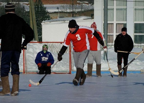 Карпинцев приглашают поучаствовать во Всероссийском флешмобе по дворовому хоккею