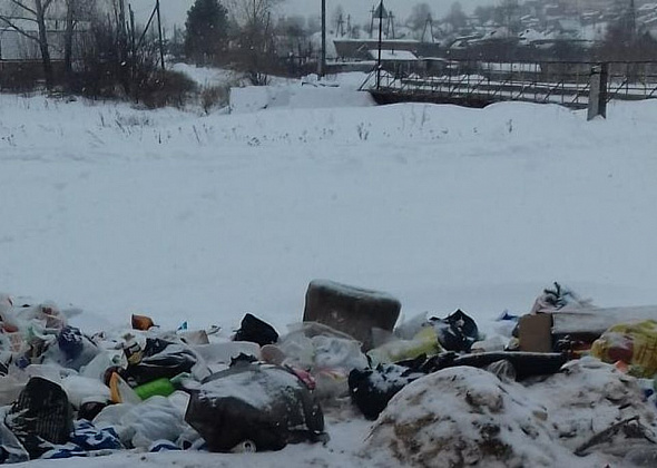 Жители заречной части города жалуются на нехватку мусорных контейнеров