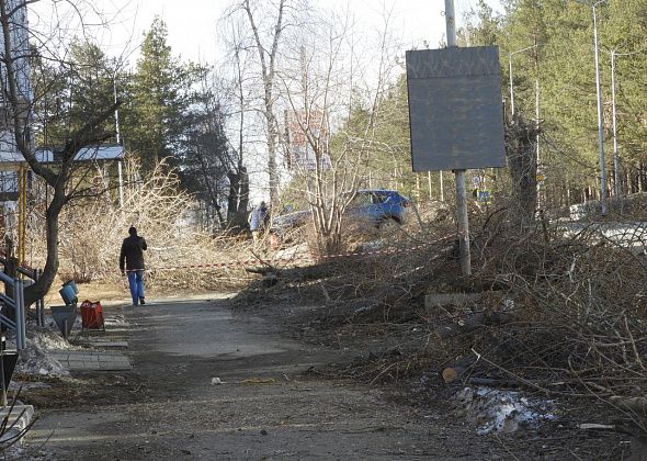 В Карпинске началась ликвидация деревьев на "гостевом маршруте"