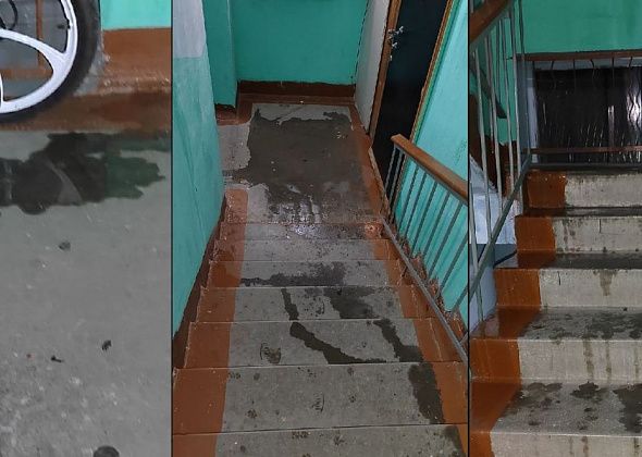 В Карпинске после дождя затопило несколько подъездов дома. В УК назвали это диверсией