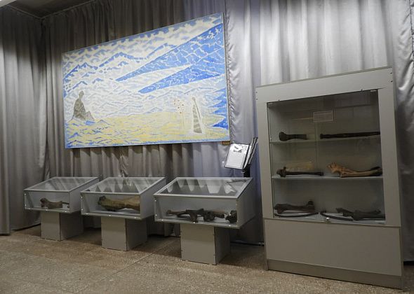 Карпинскому краеведческому музею подарили кости мамонта