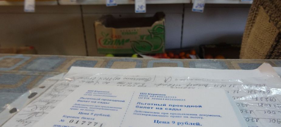 Послевкусие выборов: в Карпинске отменили льготные билеты для садоводов