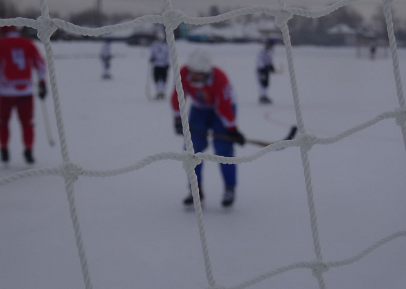 Взрослая команда "Спутник" провела игру в Полевском