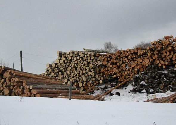 В Карпинске нашли предпринимателя, который «втихушку» занял земельный участок и пилил там древесину
