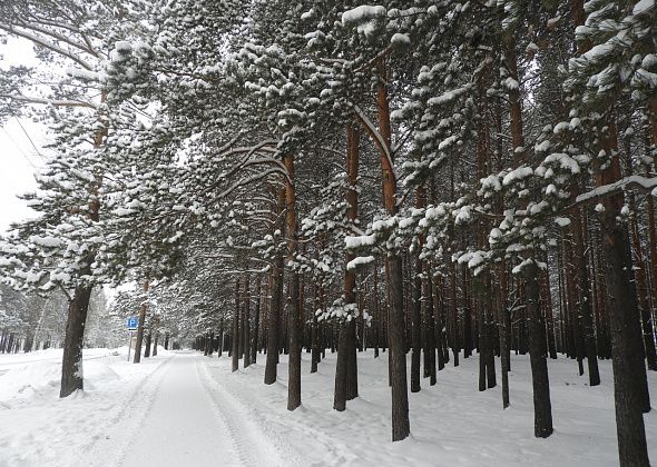 Скоро начнется последний этап благоустройства Комсомольского парка 