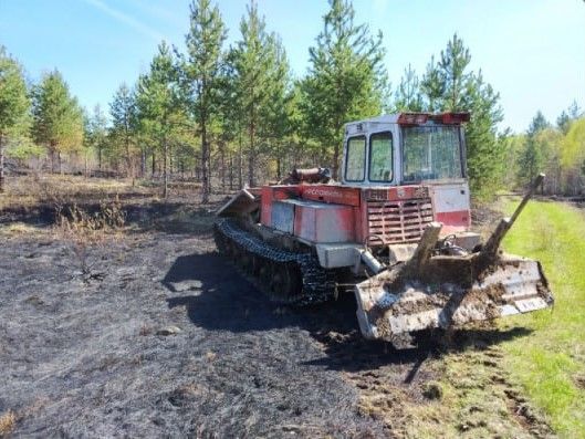 Карпинские пожарные помогли потушить лесной пожар в Серове