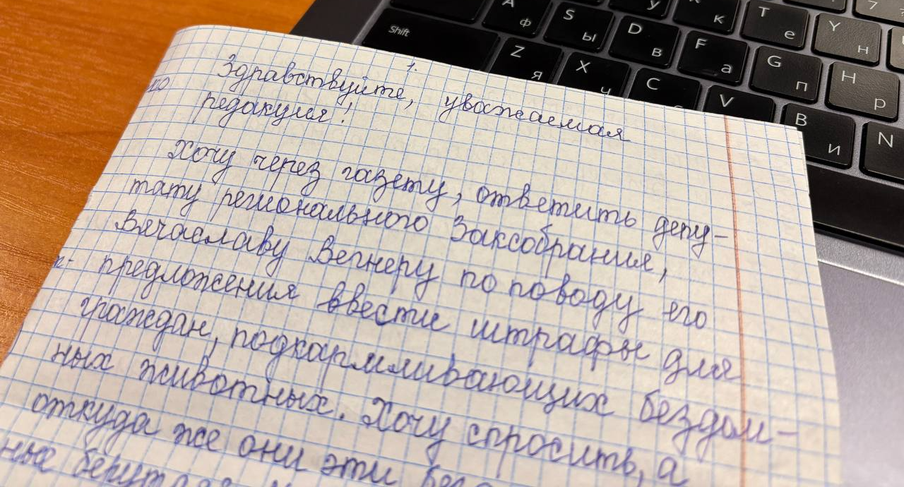 Жительница Карпинска высказалась об идее депутата ЗакСо ввести штрафы за кормежку бездомных собак