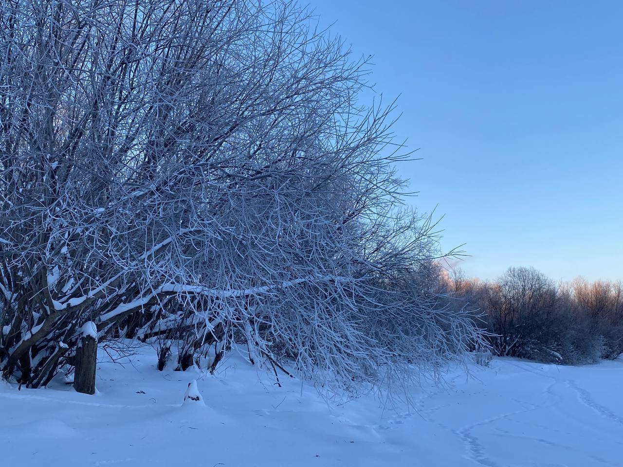 Синоптик рассказала, какой будет погода в новогоднюю ночь