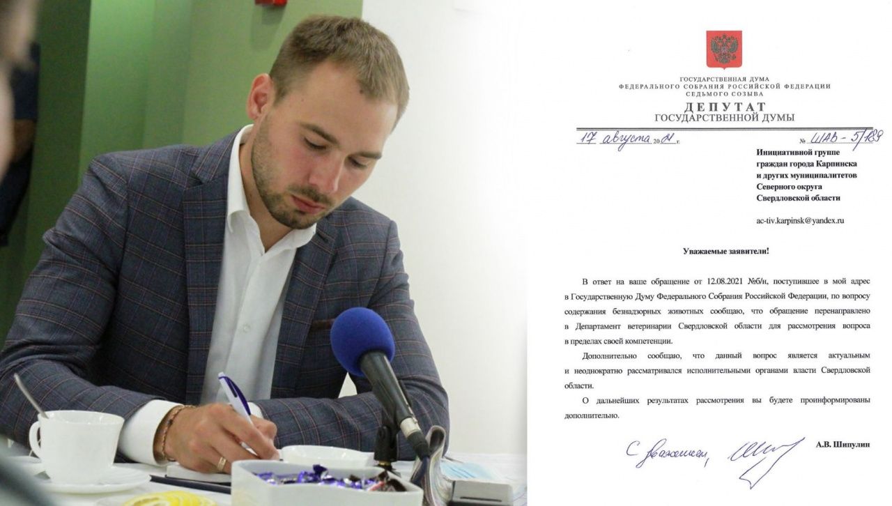 Депутат Госдумы Антон Шипулин ответил карпинским активистам на письмо о проблеме бродячих собак