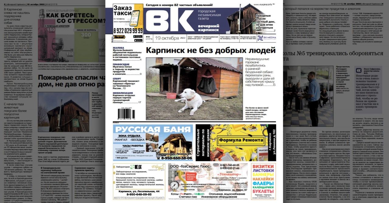 Про помощь для бездомного пса и приговор для магазинного вора читайте в свежем номере «Вечернего Карпинска»