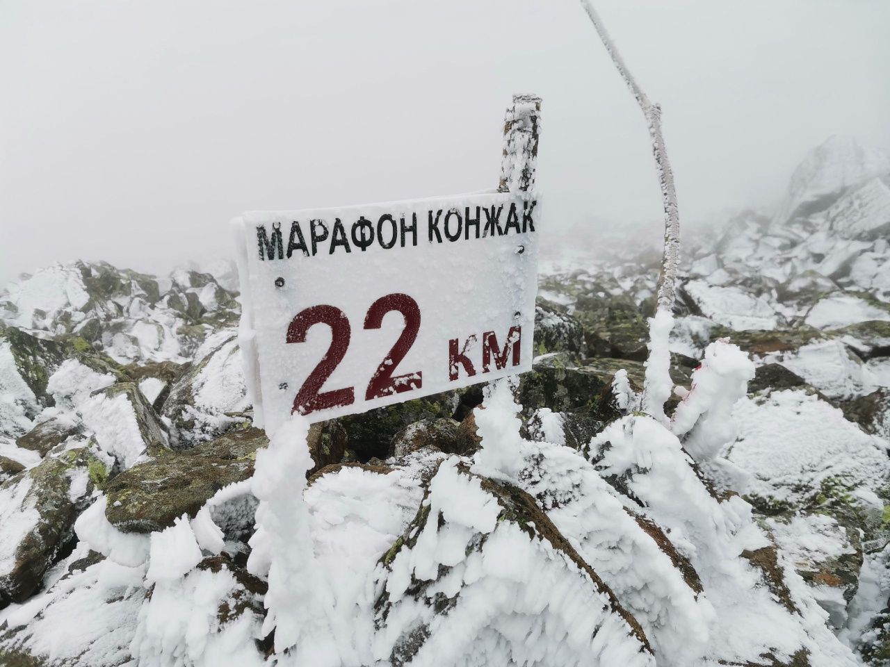 Марафон “Конжак” в 2026 году пройдет 4 июля. Началась регистрация