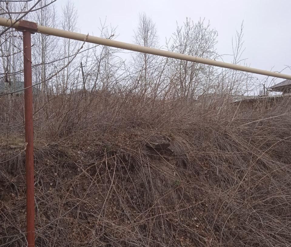 Горожане обеспокоены брошенными земельными участками, которые представляют пожарную опасность