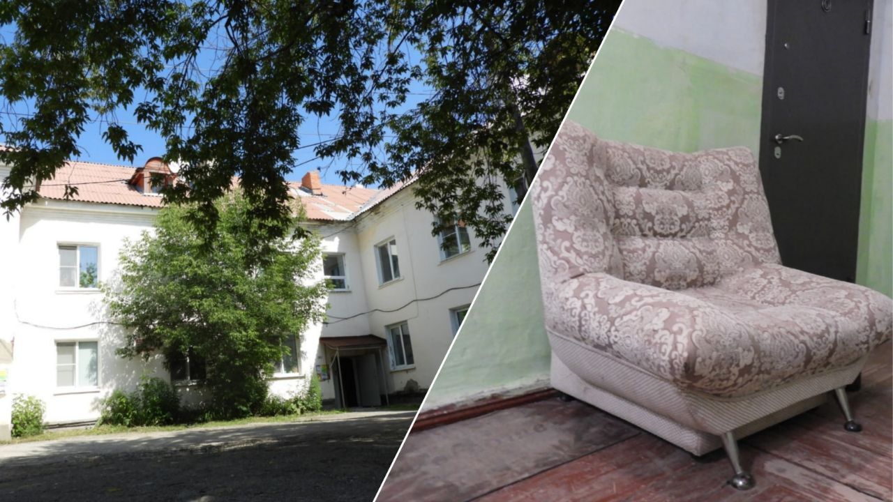 В многоквартирном доме в центре Карпинска завелись блохи. В УК «Дом» рассказали, откуда они взялись