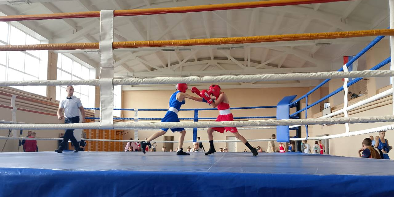 Карпинские боксеры заняли 12 первых мест на "Мемориале Дмитрия Бочкарева"