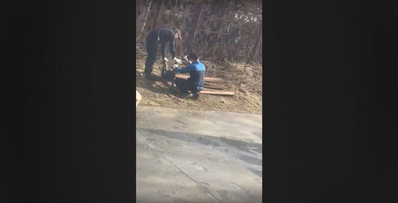 Горожане пожаловались, что в их дворе сломали и увезли лавки. Поясняем: их меняют на новые