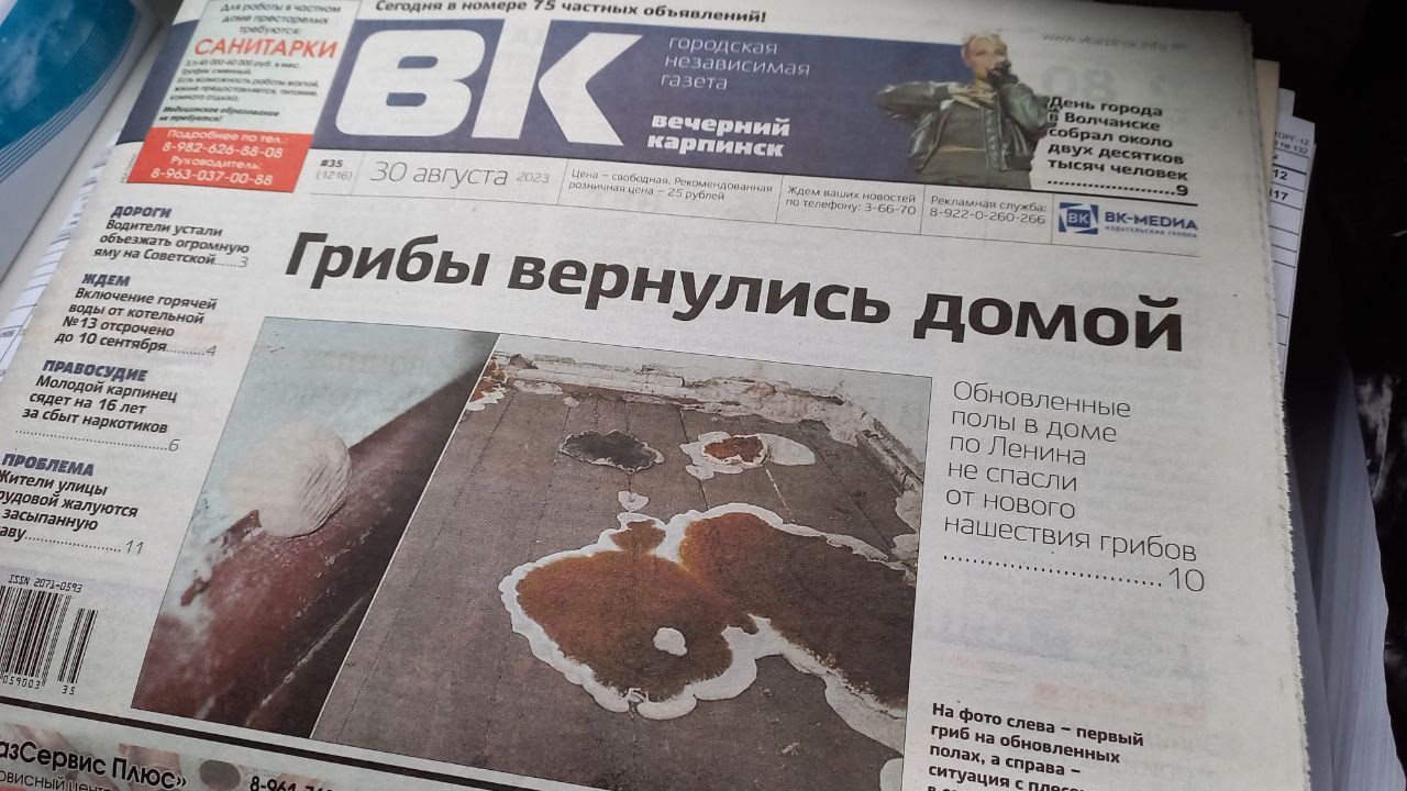 Возвращение грибов, провисшие провода и горбыль на дорогах. Обо всем в свежем номере «Вечернего Карпинска»
