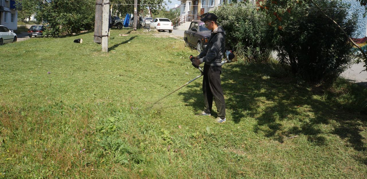 В Карпинске ищут желающих заняться покосом травы за два миллиона рублей