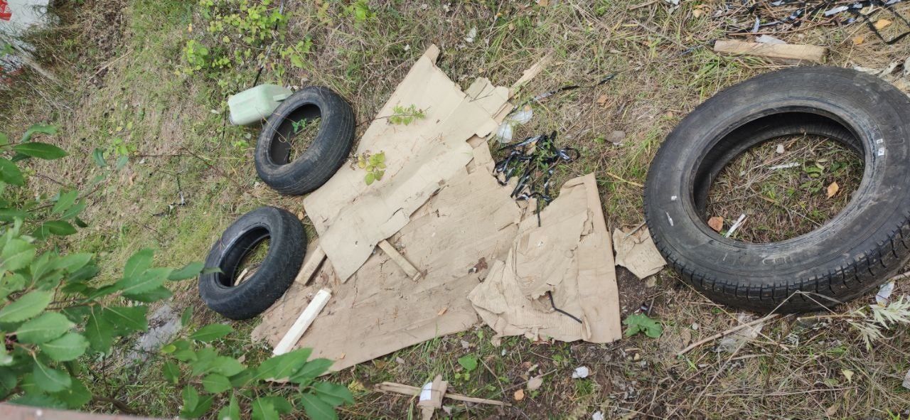 Горожане призывают не выбрасывать мусор и не справлять нужду возле детского сада №17