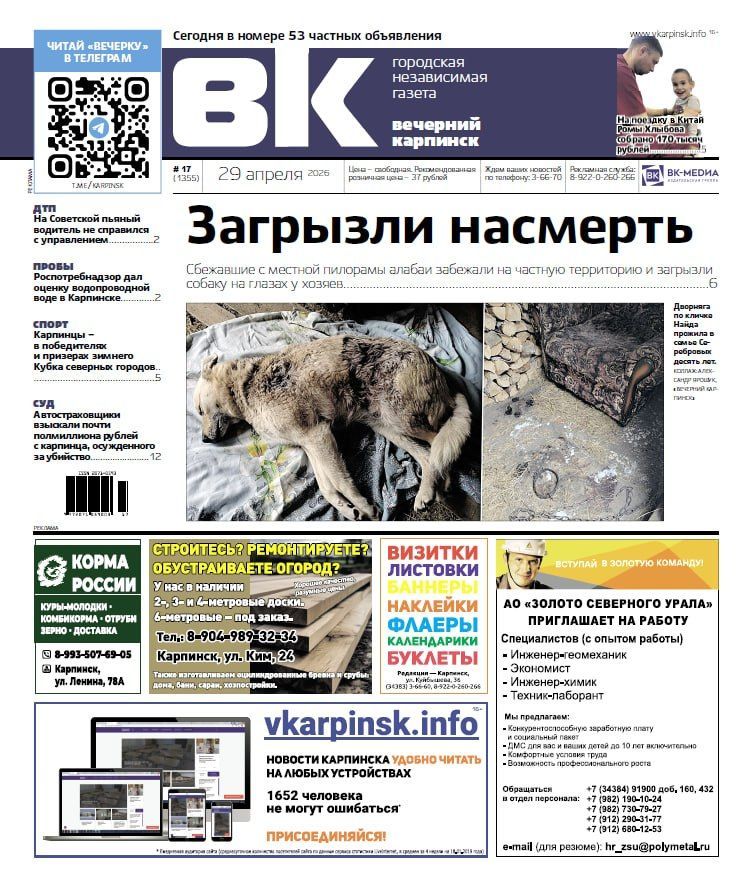 Собаку загрызли на глазах у хозяев, а пьяный водитель угодил в канаву – обо всем в «Вечернем Карпинске»