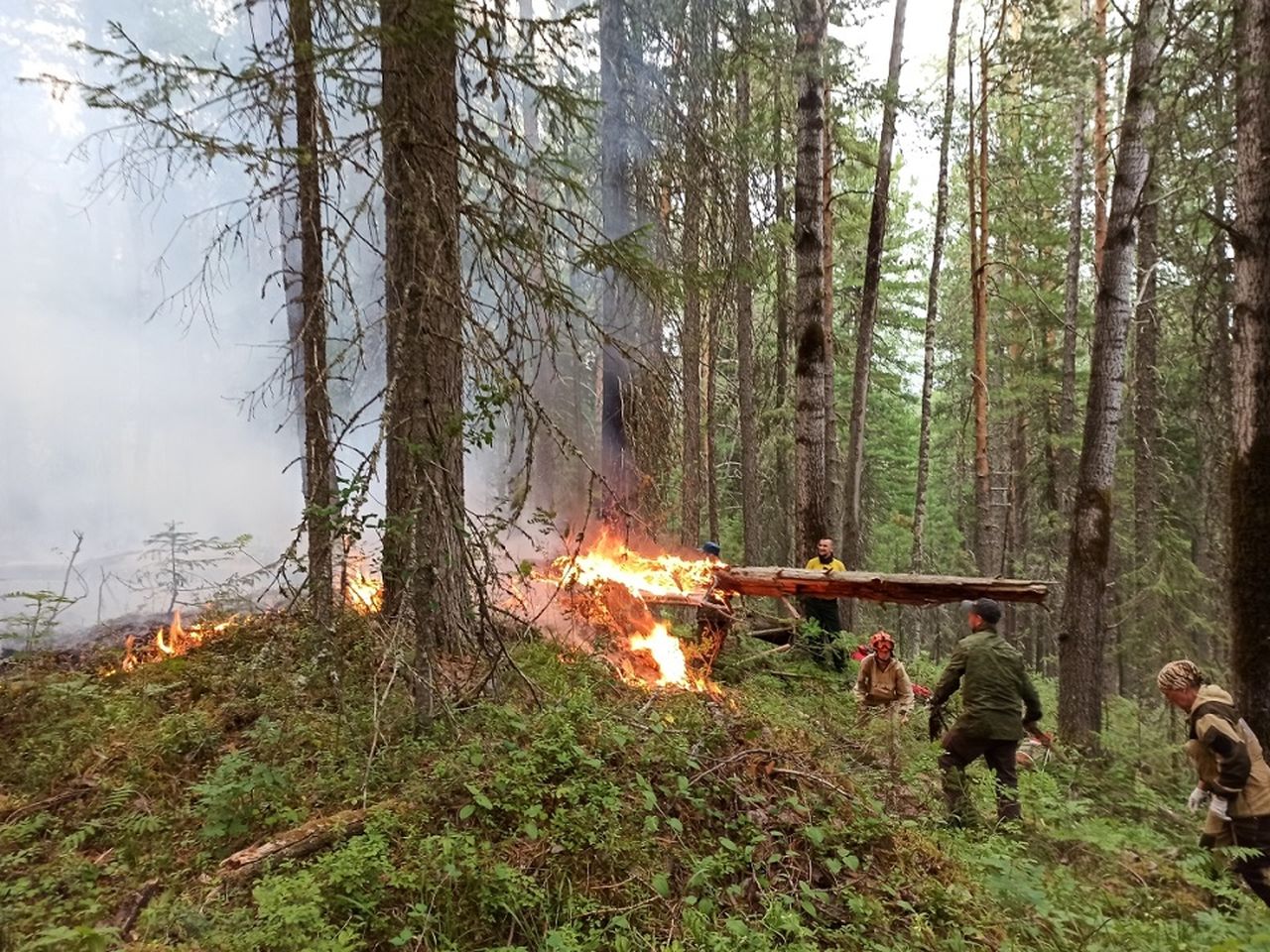 Пожар в заповеднике "Денежкин Камень": горит 25 гектаров, ждут вертолет