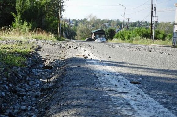 Жители улицы Огородникова, где автобус сбил хозяйскую собаку, просят установить ИДН