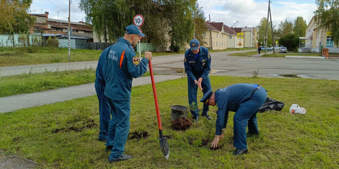 Карпинские спасатели высадили на своей территории ели и сосны