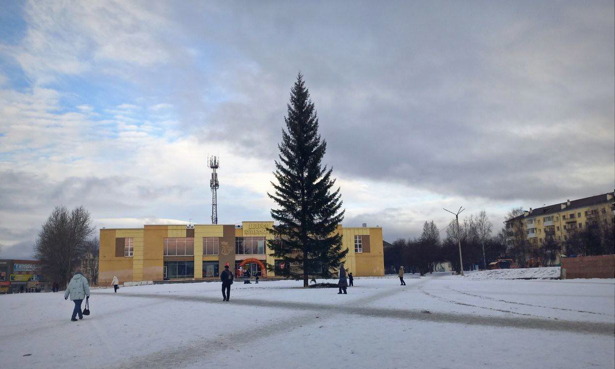 На центральной площади установили новогоднюю ель