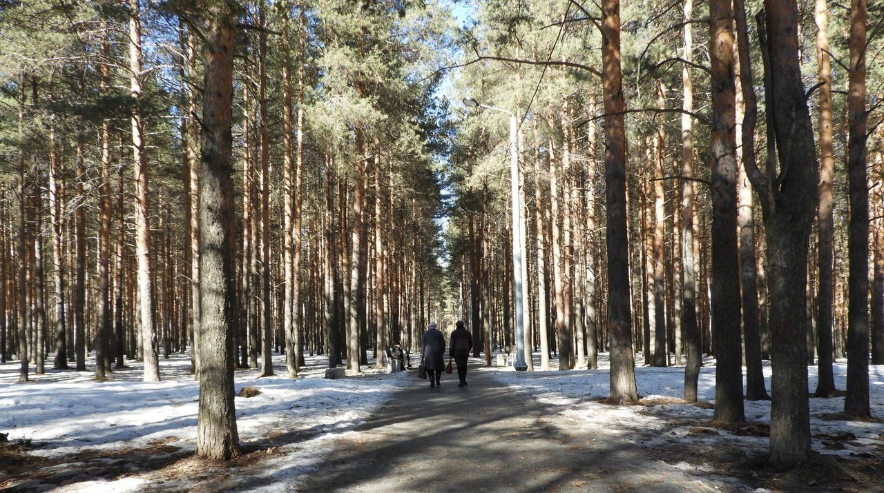 В полиции усилили контроль за пьяными в парках. Мэр предложил называть их фамилии в СМИ