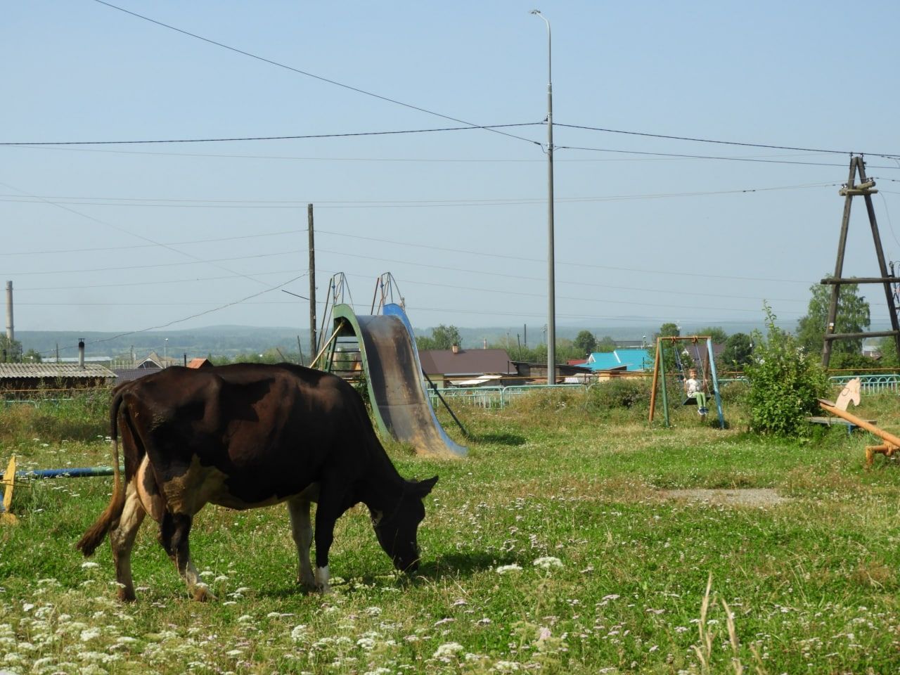Жильцы домов по улице проезд Нахимова хотят новую детскую площадку и не хотят там видеть коров