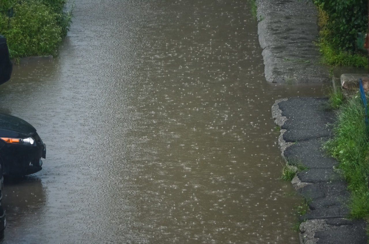 Июнь на севере области закончится теплой, но дождливой погодой