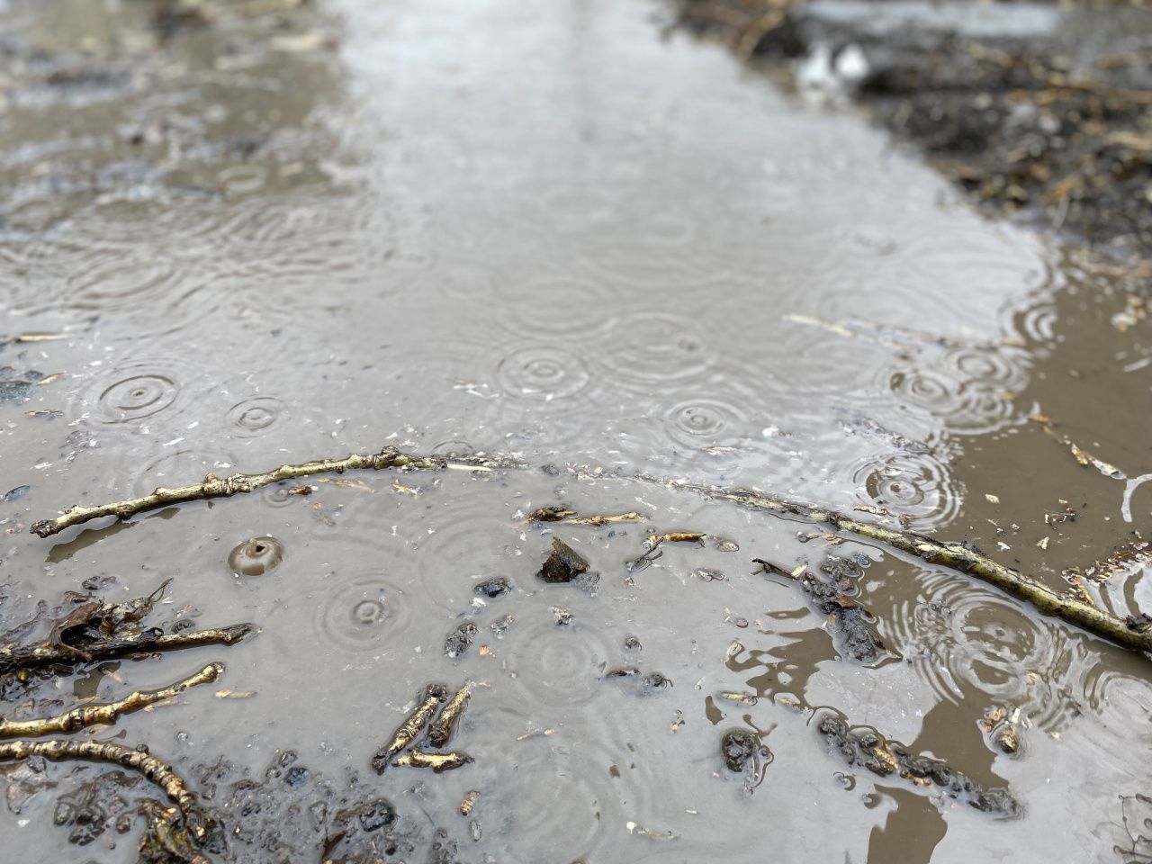Синоптик уверяет, что тепло на севере области будет. Но позже