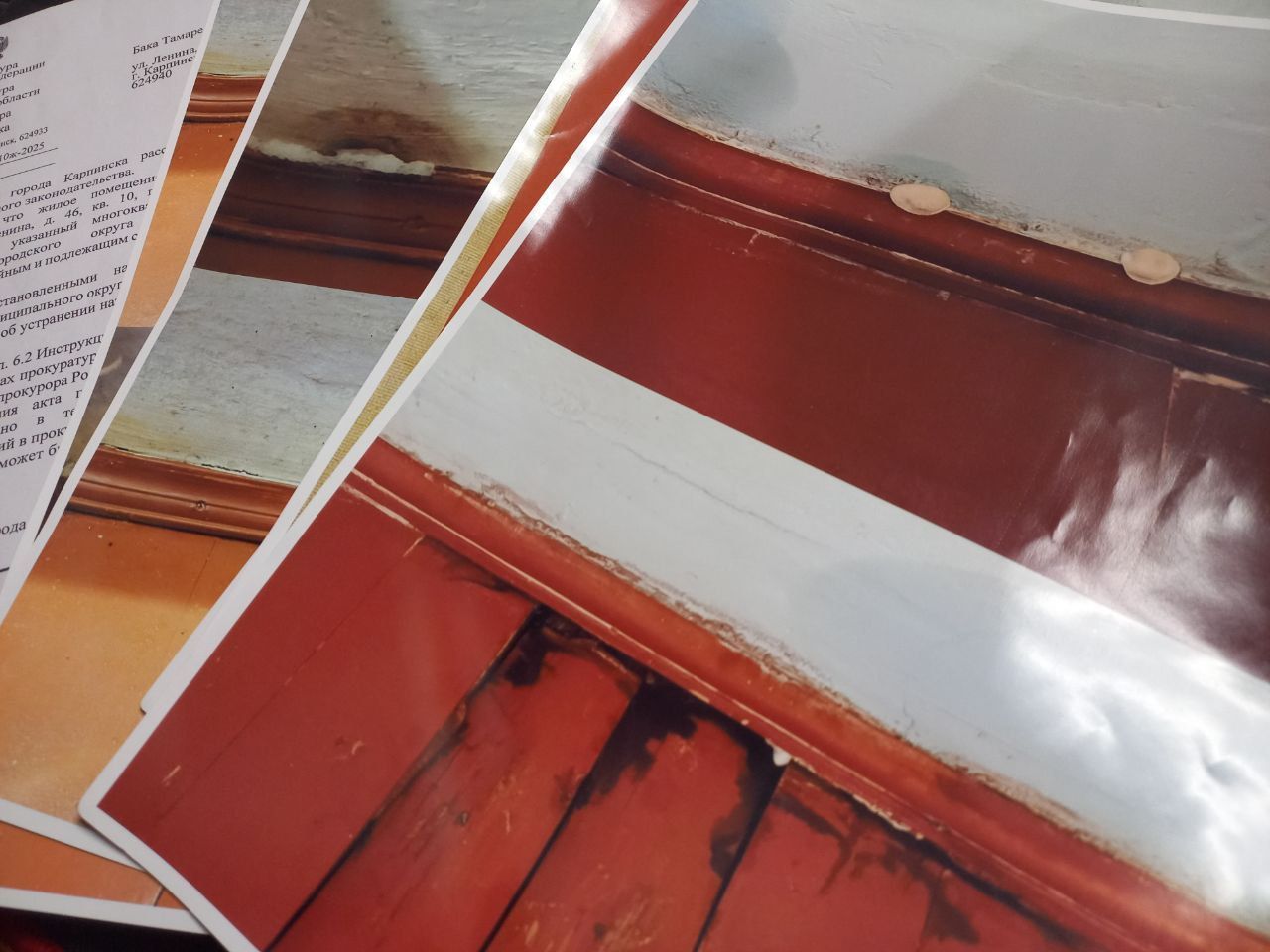 Жительница дома №46 по Ленина, которая жила в подъезде, снова жалуется на растущие в квартире грибы