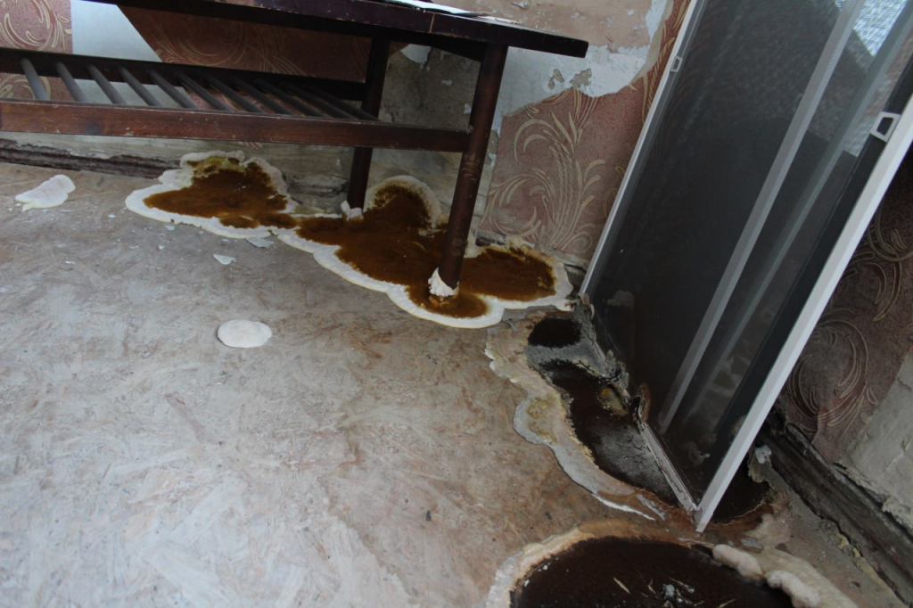 В Карпинске домом с грибами на Ленина заинтересовались в СКР. Возбуждено уголовное дело