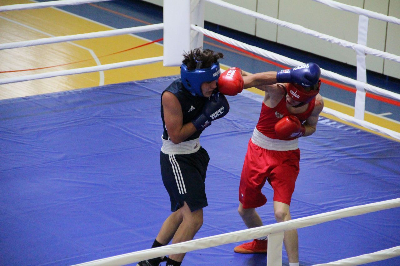 Карпинские боксеры успешно выступили на областном турнире "Кубка Константина Цзю"