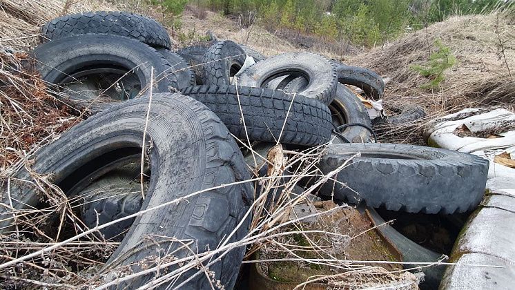 Природоохранная прокуратура добилась ликвидации свалки возле поселка Сосновка