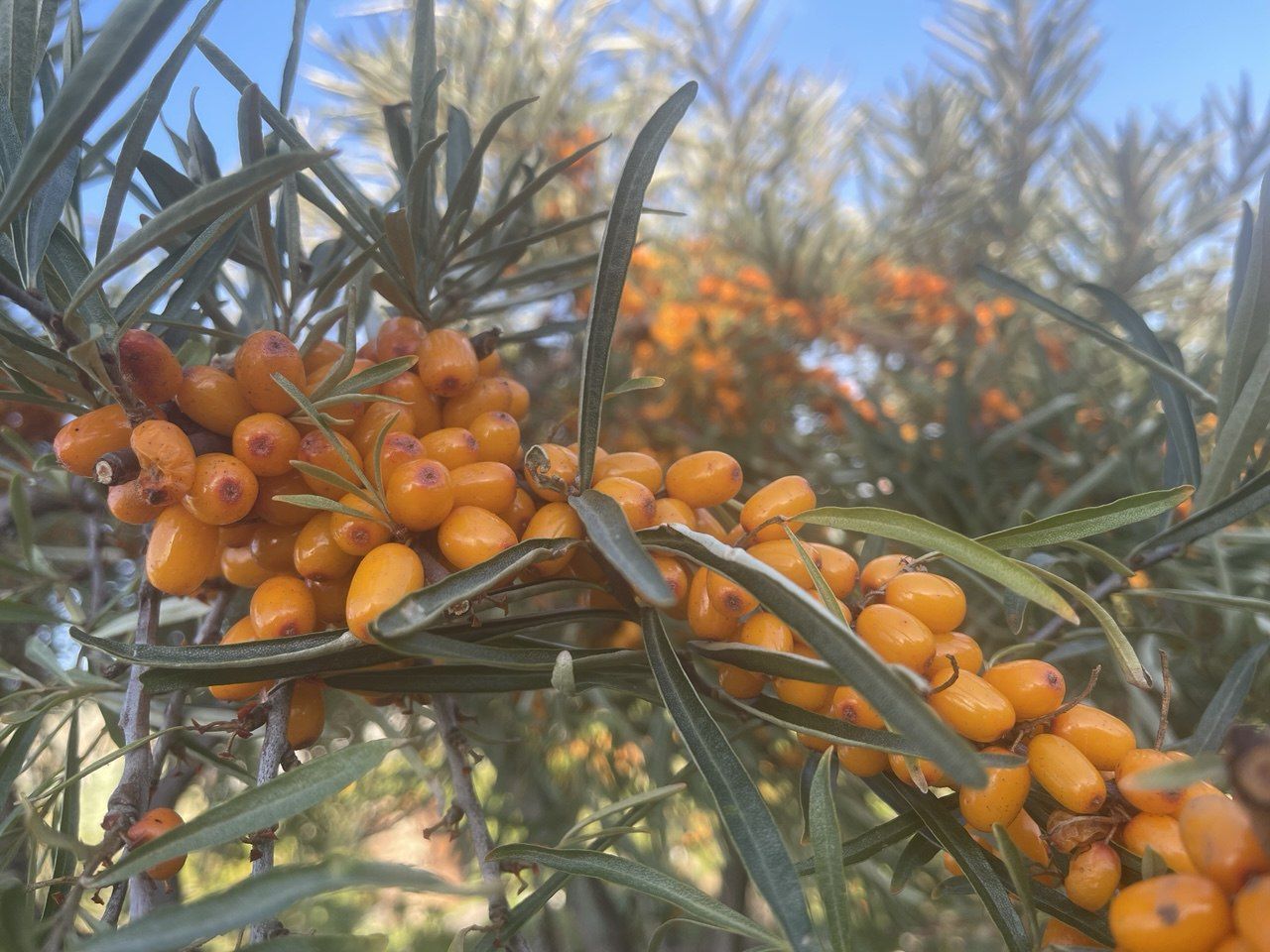 В выходные на севере области потеплеет до 20 градусов