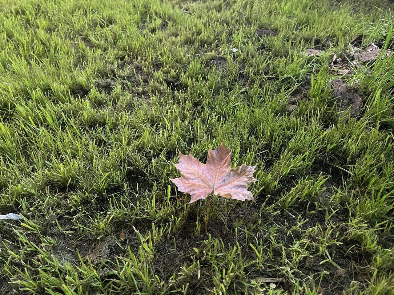 Похолодание на севере области ожидается с 23 сентября